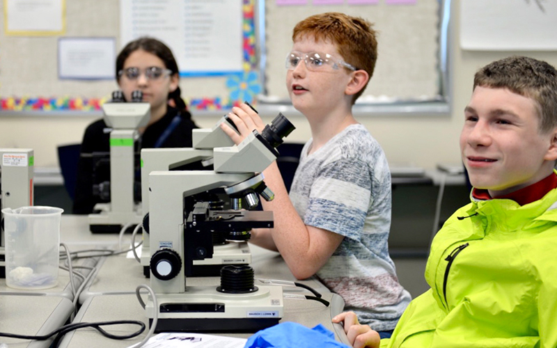 Students using microscopes